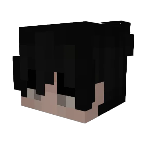 VeCort4_ Minecraft avatar head, 3D render