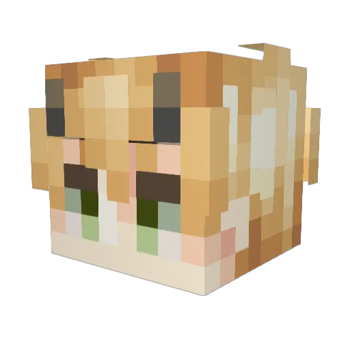 VeGamer11 Minecraft avatar head, 3D render