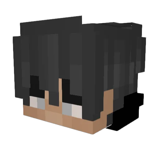 VeNoM6452 Minecraft avatar head, 3D render
