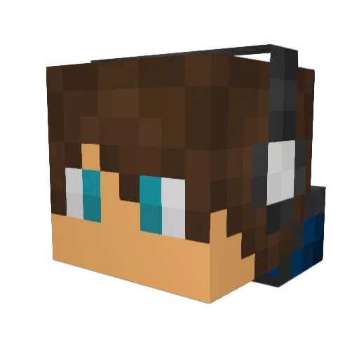 VeNoX_O Minecraft avatar head, 3D render