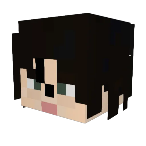 VeXx2350 Minecraft avatar head, 3D render