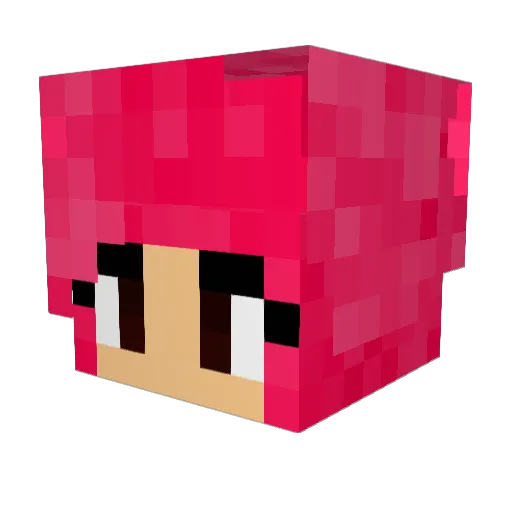 VebTo Minecraft avatar head, 3D render