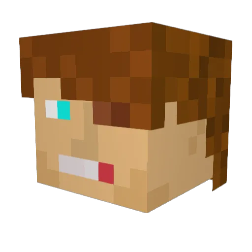 Vebi Minecraft avatar head, 3D render