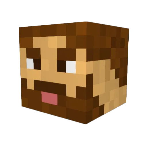 Vechtera Minecraft avatar head, 3D render
