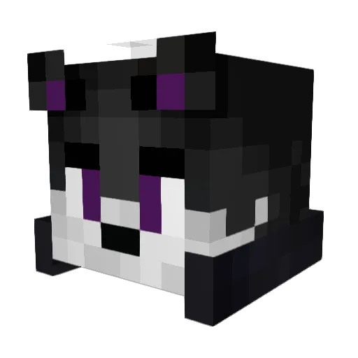 Veckny1 Minecraft avatar head, 3D render