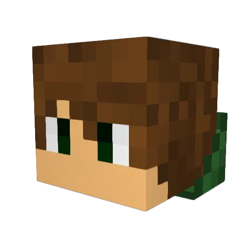 Vecsore Minecraft avatar head, 3D render