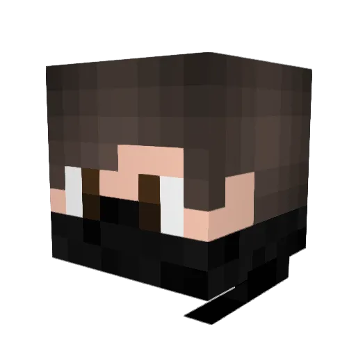 Vector666 Minecraft avatar head, 3D render