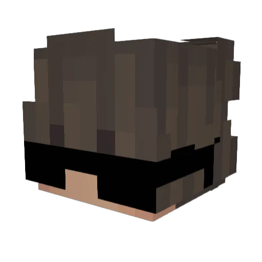 VectorPlayzYT Minecraft avatar head, 3D render