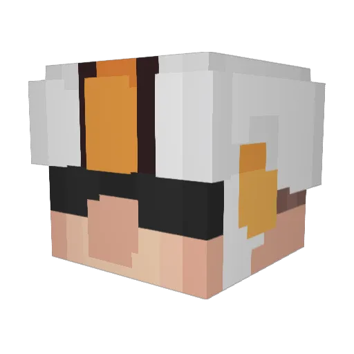 Vectors Minecraft avatar head, 3D render