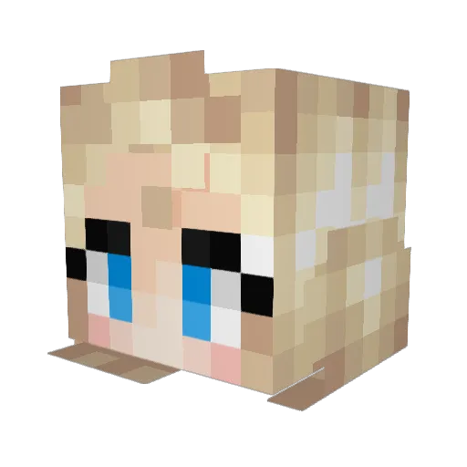 Vectroacid Minecraft avatar head, 3D render