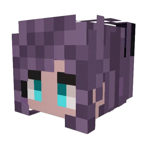 Vee1nSpace Minecraft avatar head, 3D render