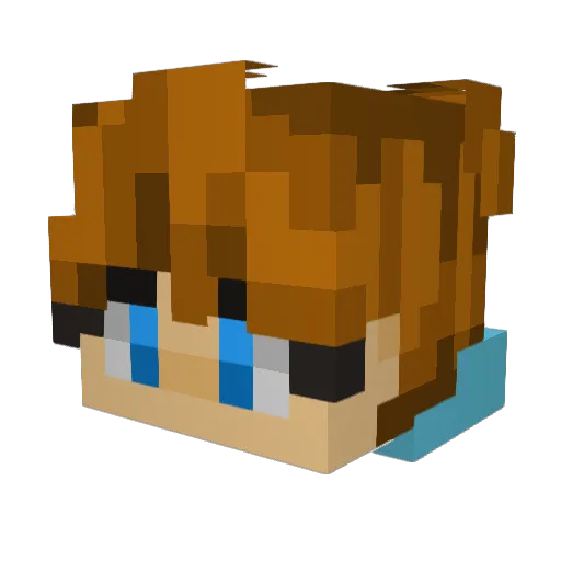 Vee9_ Minecraft avatar head, 3D render