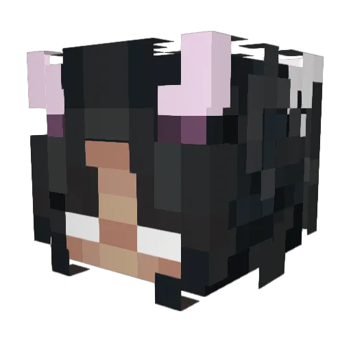 VeeBaby Minecraft avatar head, 3D render