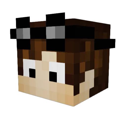 VeeJay Minecraft avatar head, 3D render