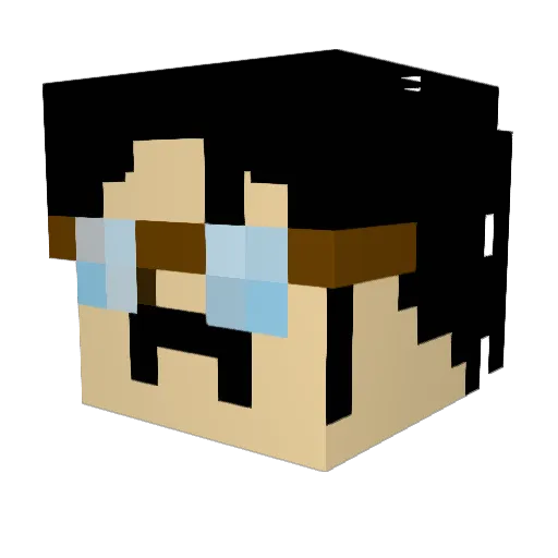 VeeV69 Minecraft avatar head, 3D render