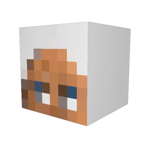 Veebadoo23 Minecraft avatar head, 3D render