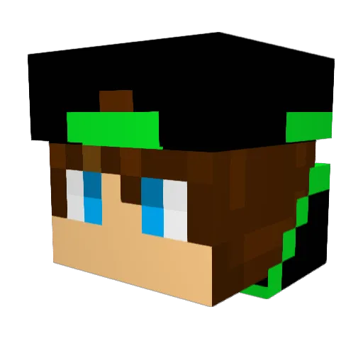 VeelDylan Minecraft avatar head, 3D render