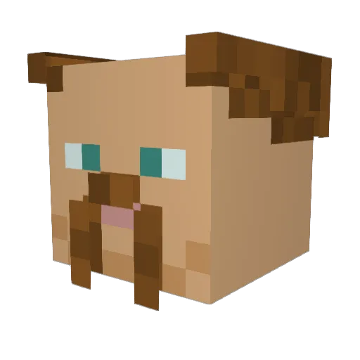 Veemaan Minecraft avatar head, 3D render