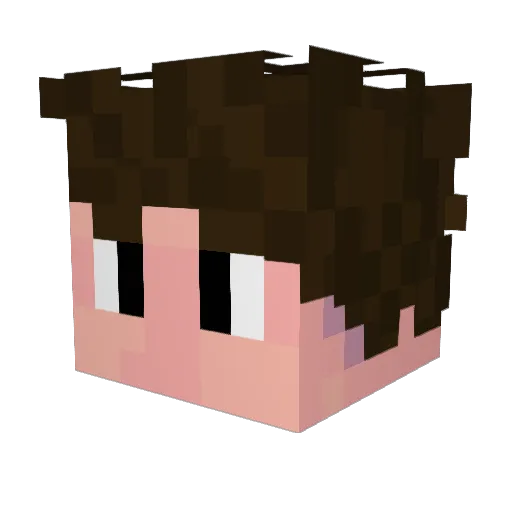 Veemo_49 Minecraft avatar head, 3D render