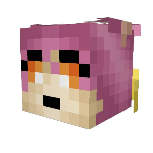 Veemon1996 Minecraft avatar head, 3D render