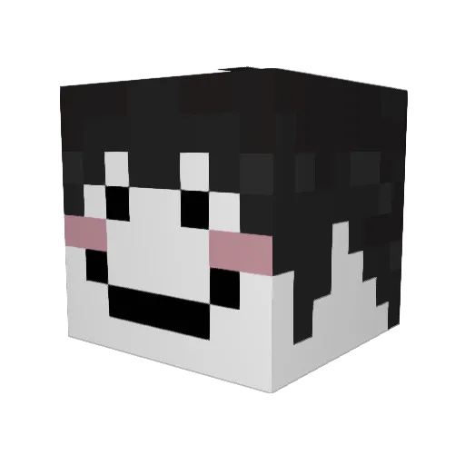 Veen1x Minecraft avatar head, 3D render