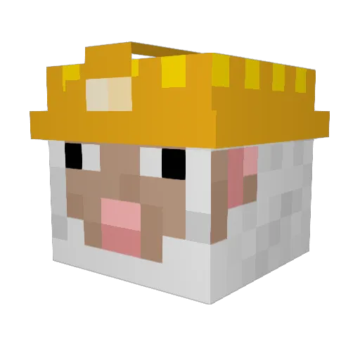 Veer9 Minecraft avatar head, 3D render