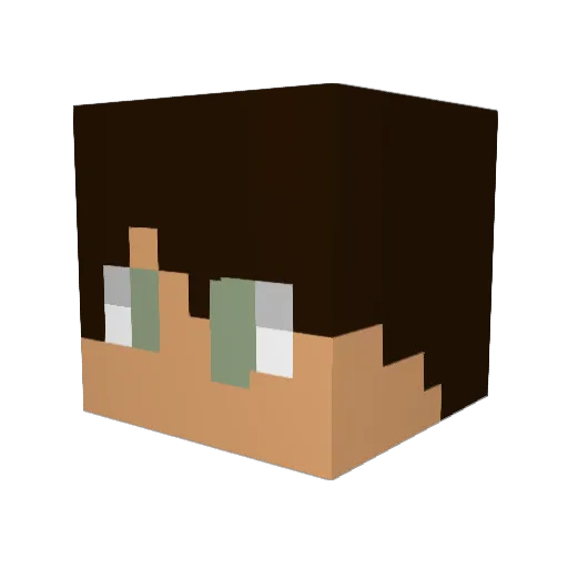 VeerYodha14 Minecraft avatar head, 3D render