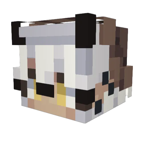 Veereus Minecraft avatar head, 3D render