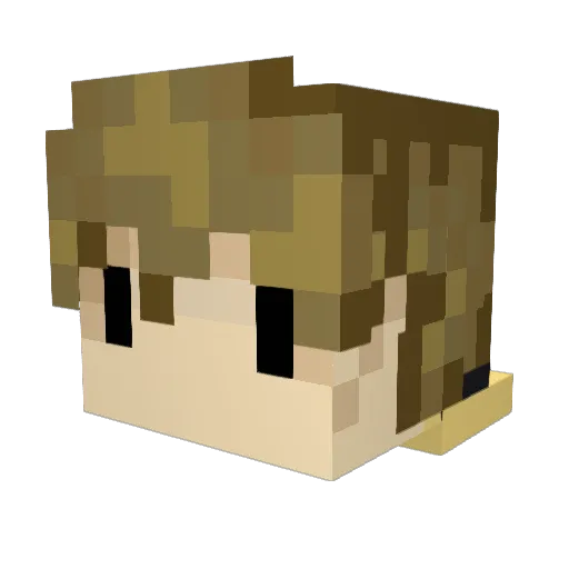 VeersimstLP Minecraft avatar head, 3D render