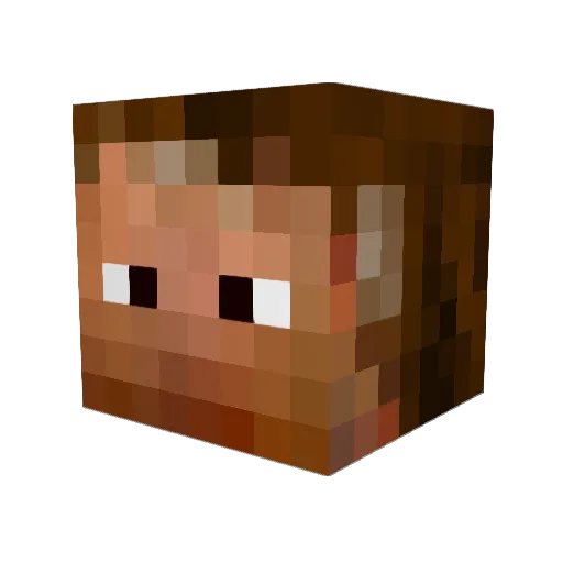 Veertje24 Minecraft avatar head, 3D render