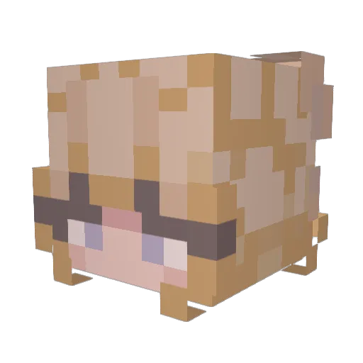 Veertjeveer Minecraft avatar head, 3D render