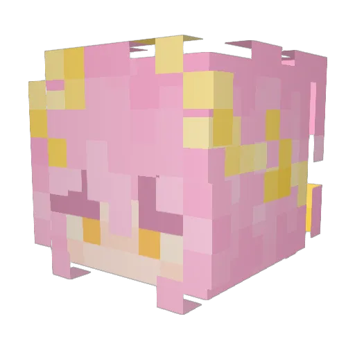 Veeruskaaa Minecraft avatar head, 3D render