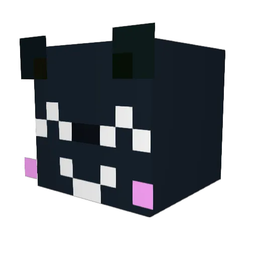 VeetheTeeVee Minecraft avatar head, 3D render