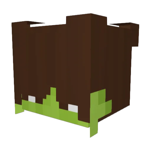 Veetopotamus Minecraft avatar head, 3D render