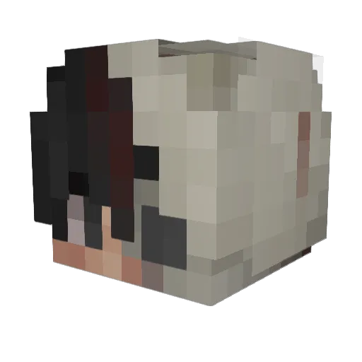VefaSener Minecraft avatar head, 3D render