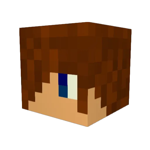 Vega18066 Minecraft avatar head, 3D render