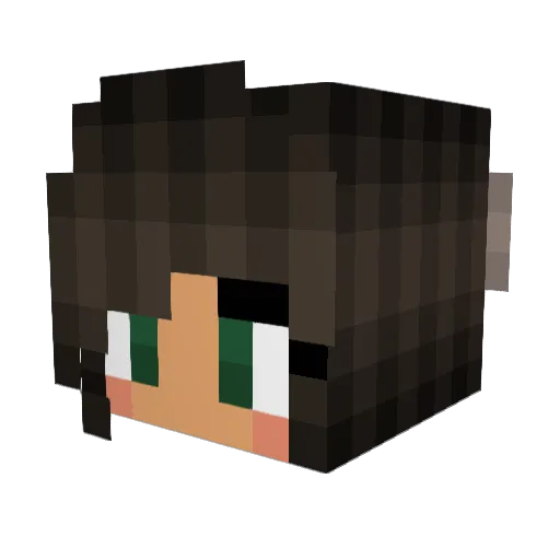 VegaJulie Minecraft avatar head, 3D render