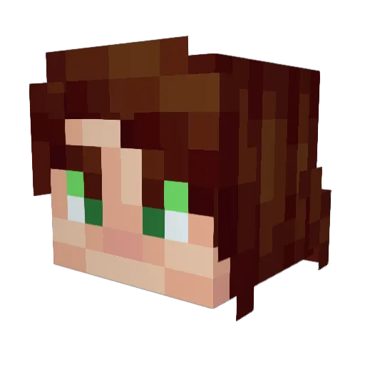 VeganFatty_ Minecraft avatar head, 3D render