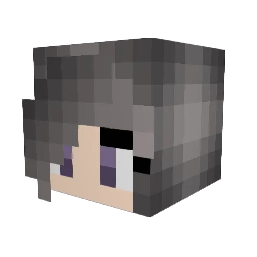 VeganWeirdo Minecraft avatar head, 3D render