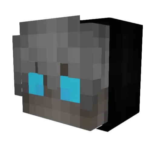Veganzombie11 Minecraft avatar head, 3D render