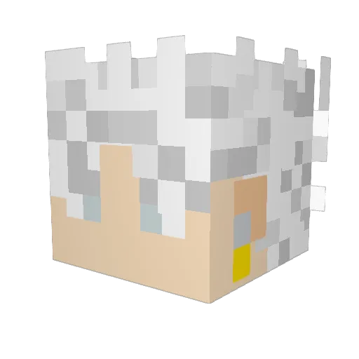 Vegerot Minecraft avatar head, 3D render