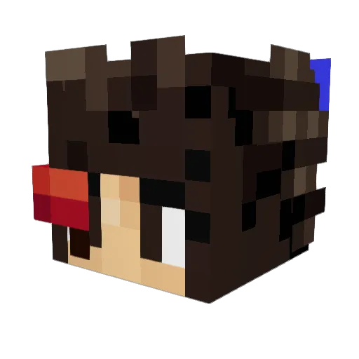Vegetajmm Minecraft avatar head, 3D render