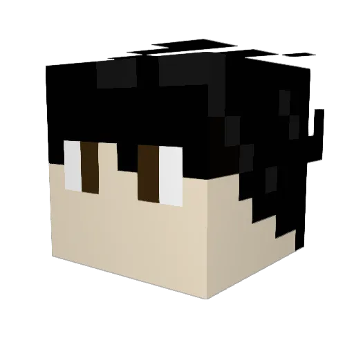 Vegggies Minecraft avatar head, 3D render