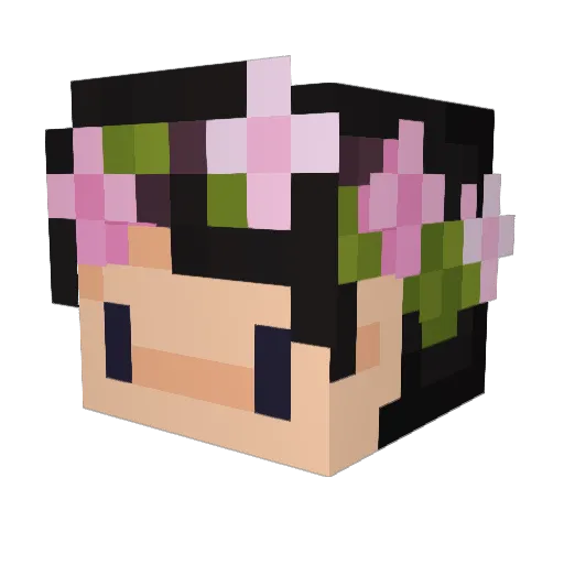 VeggieDinos Minecraft avatar head, 3D render