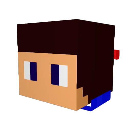 Veggiekill Minecraft avatar head, 3D render