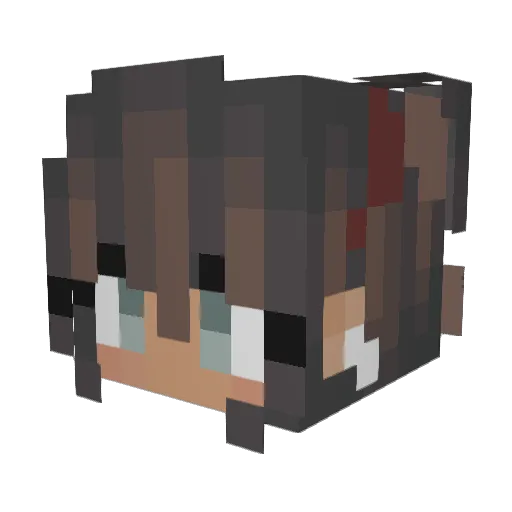 Vegicoon Minecraft avatar head, 3D render