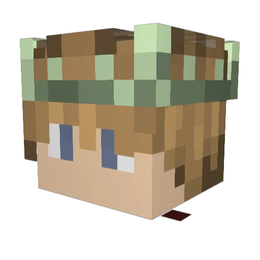 Vegoza Minecraft avatar head, 3D render