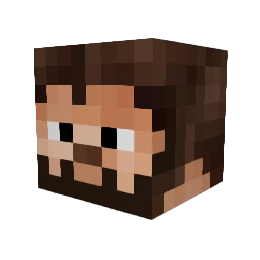 Vegvisirr Minecraft avatar head, 3D render