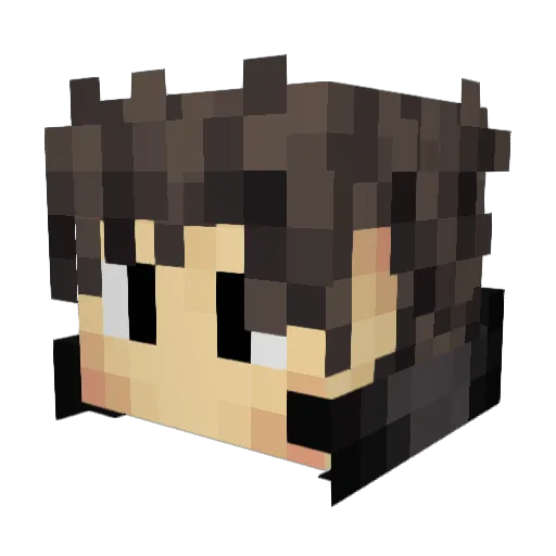 Vehne Minecraft avatar head, 3D render