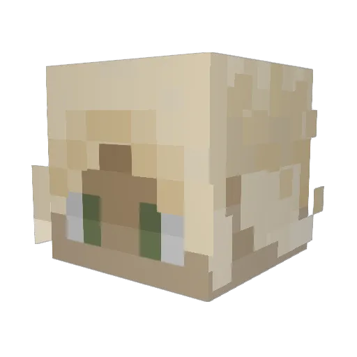 Veiju Minecraft avatar head, 3D render